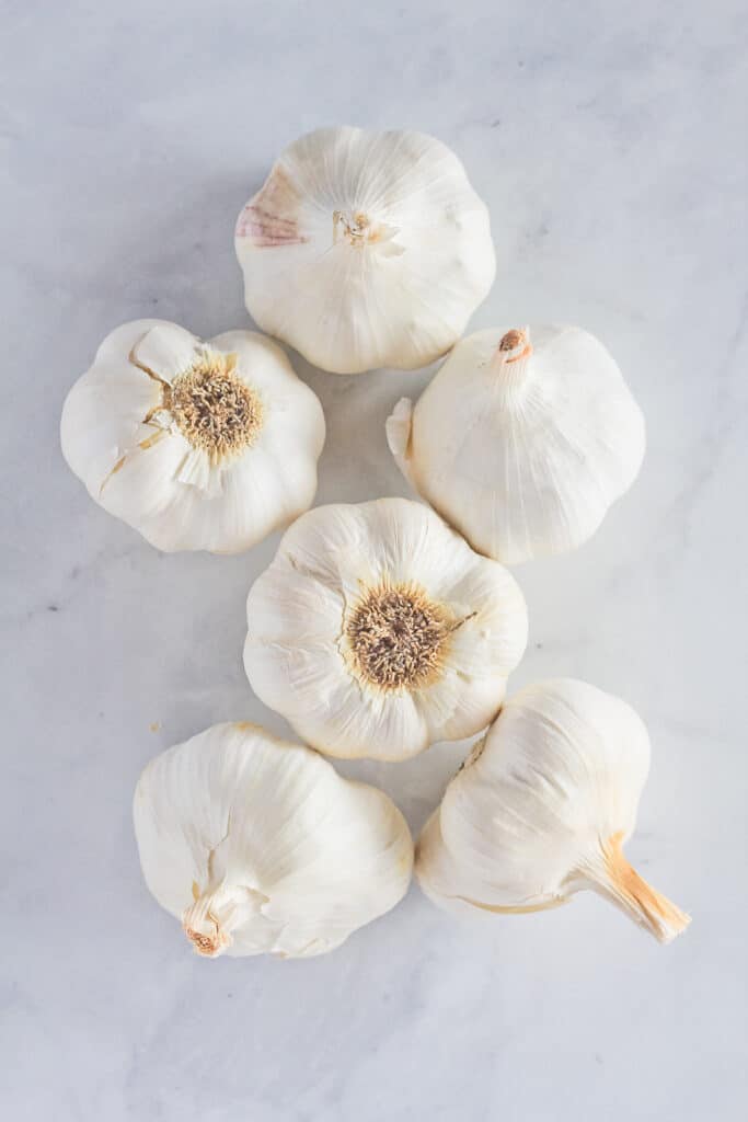 How To Preserve Garlic Finished with Salt