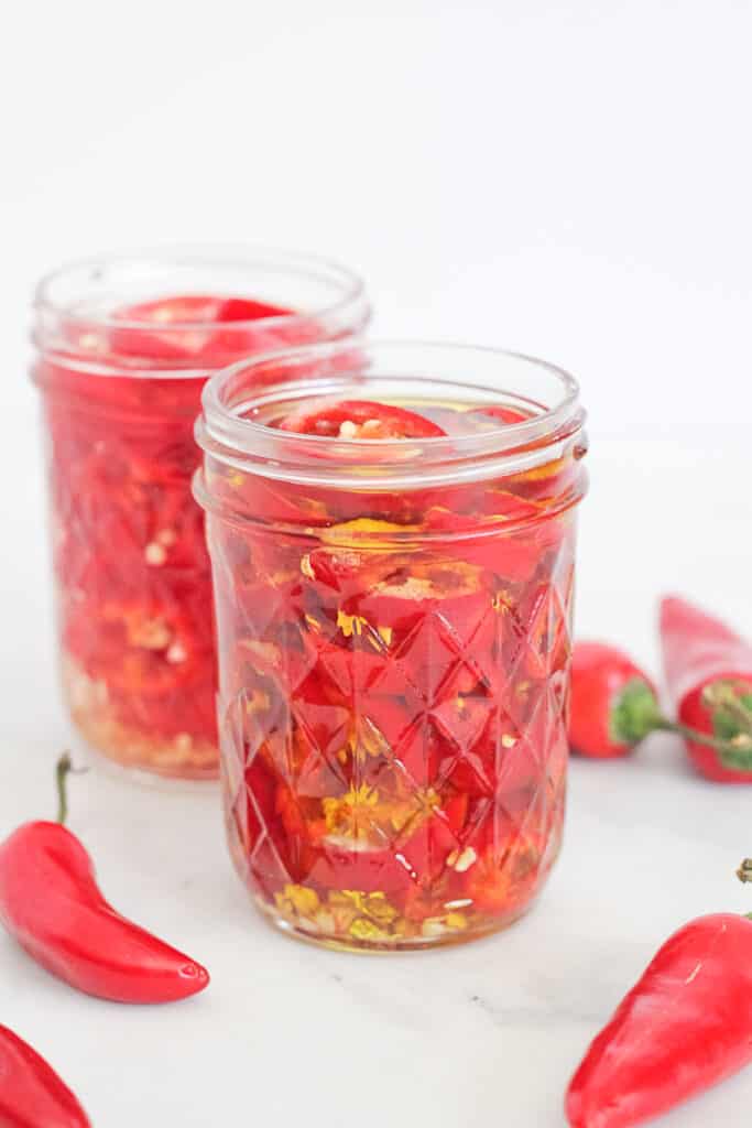 How To Preserve Chillies Finished with Salt