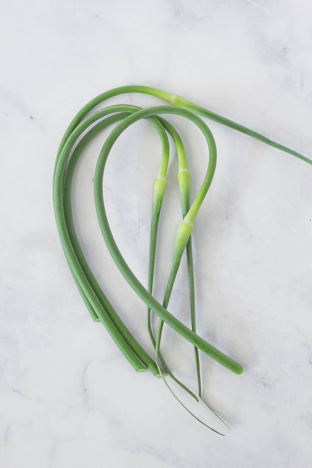How To Store Garlic Scapes Finished with Salt